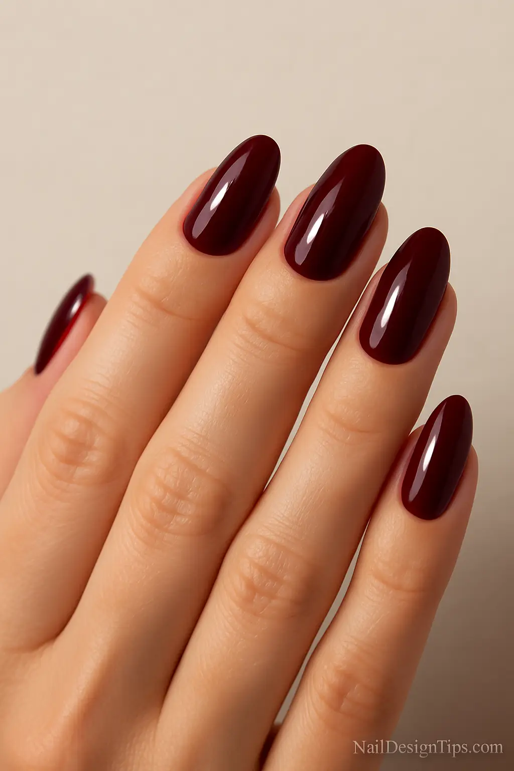3. Glossy Wine Red Glamour